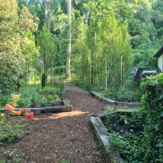 Bewertung von Sarah Kabalo